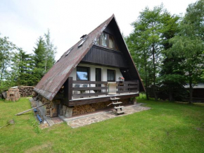 Nice holiday home in the Ore Mountains only 500m from the chairlift, Loučná Pod Klínovcem